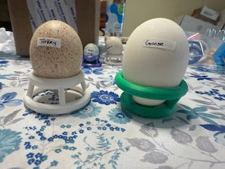 Large Hatching Rings (patent pending) 1/2 dozen image 0