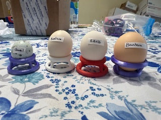 Small Hatching Rings (patent pending)-dozen image 0