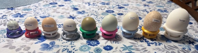 Small Hatching Rings (patent pending)-dozen image 1